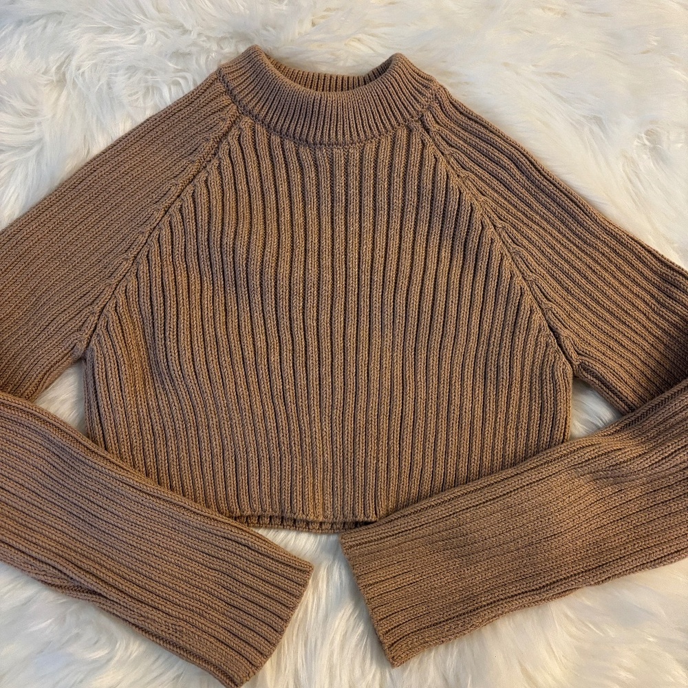 Zara Turtleneck Cropped Sweater